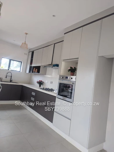 Investment Opportunity