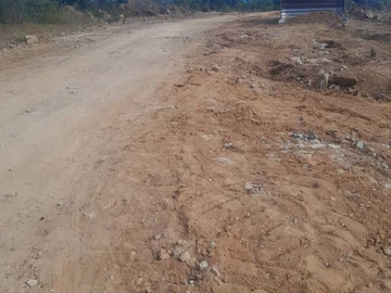 Farm & Agricultural Land