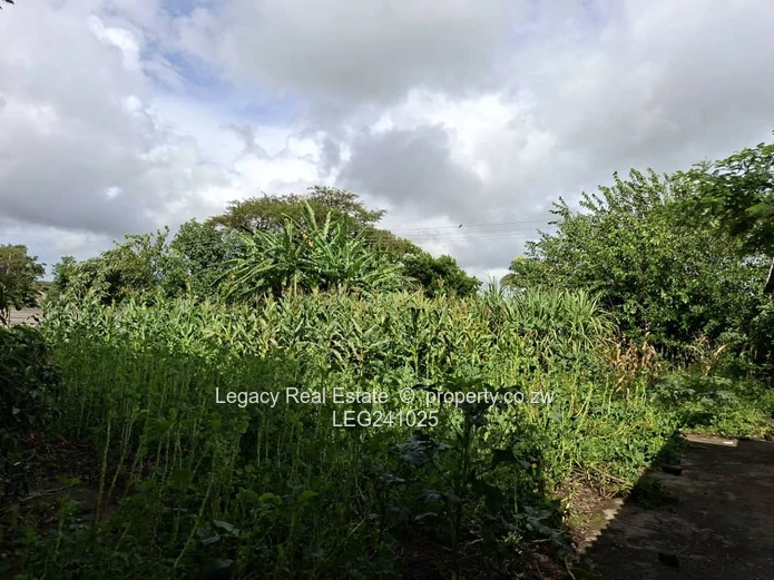 Refined Family Living in the Heart of Goodhope