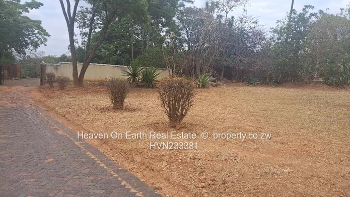 Subdivision Stand For Sale