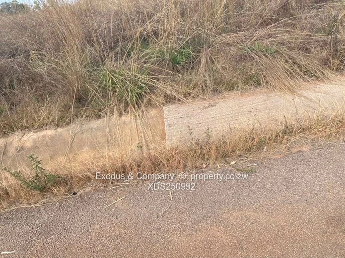 Stands for sale