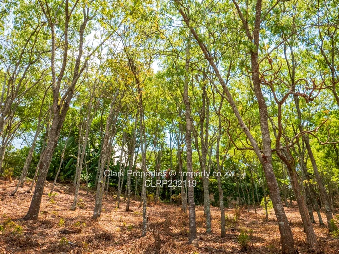 Character-Filled Family Home (Sole Mandate)