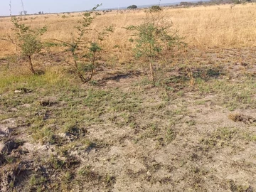 Commercial & Industrial Land