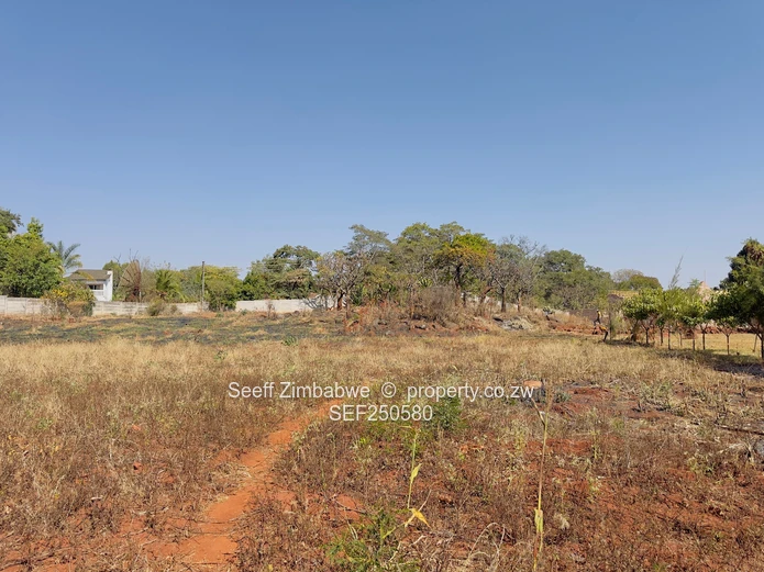 Prime Vacant Land Opportunity in Mandara