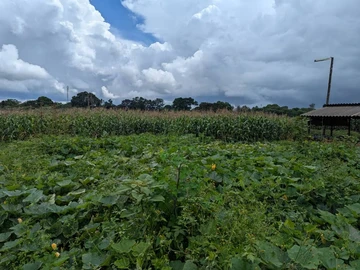 8000 m² Residential Land with Borehole for sale in Quinnington
