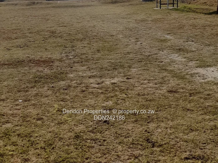 Spacious land to build iour home