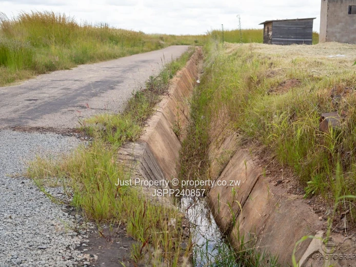 Fully Serviced Norton Stand For Sale