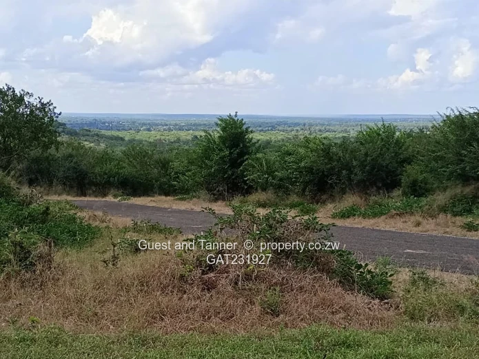 Low-Density Residential Stand for Sale – Near Zambezi River & Victoria Falls