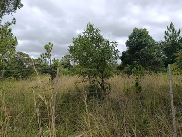 Farm & Agricultural Land