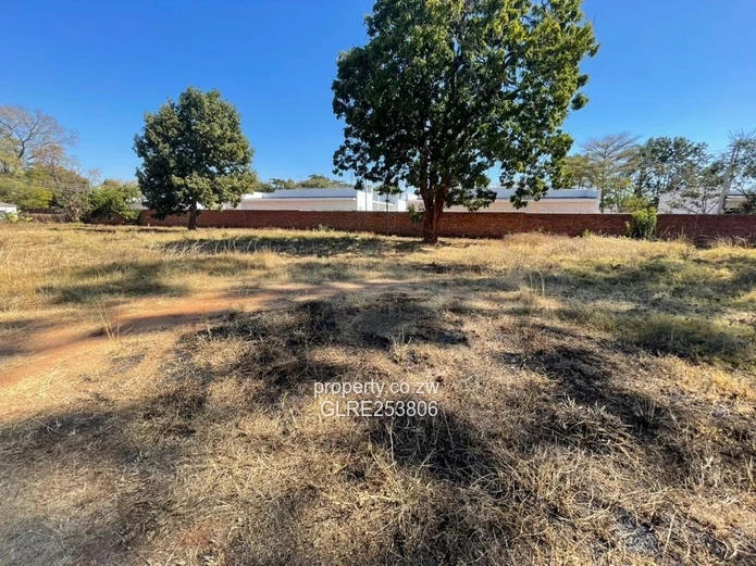 Vacant 8019m² Vainona Stand — Subdividable & Serviced