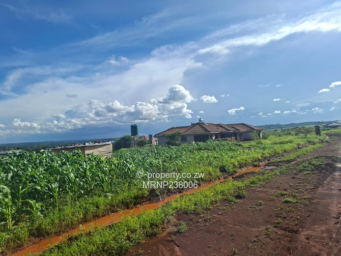 Crowhill Sawara Hills stand with slab for sale (Sole Mandate)