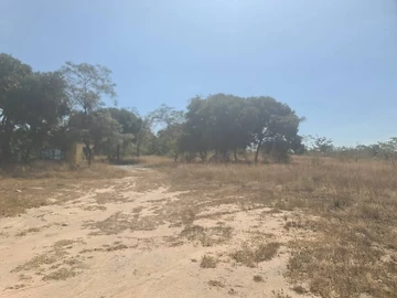 Farm & Agricultural Land