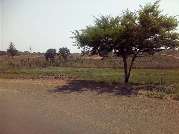 Land