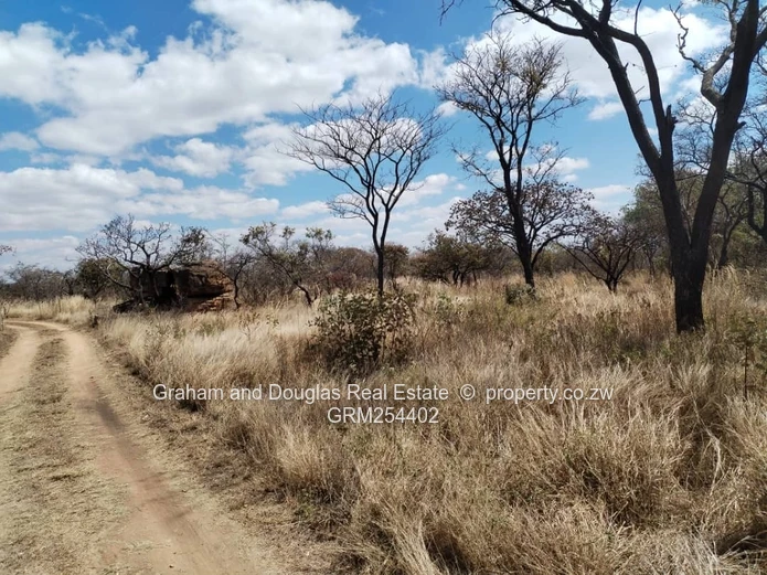 Bulawayo Fortunes Gate pieces of land for sale