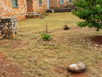 Farm & Agricultural Land