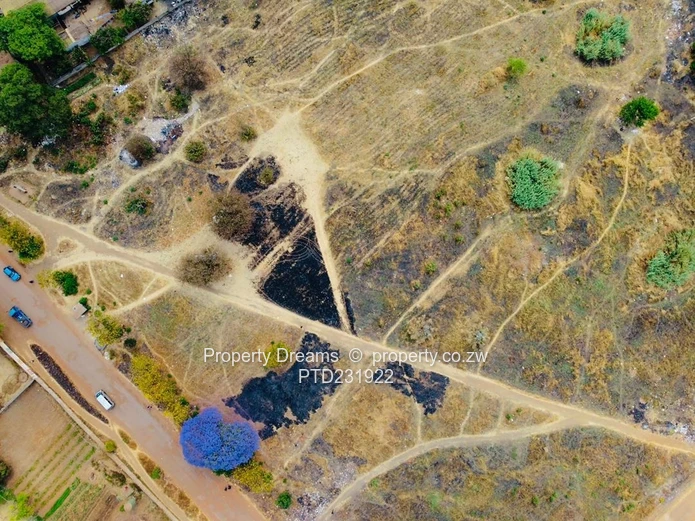 2.4 Hectare Prime Arcadia land