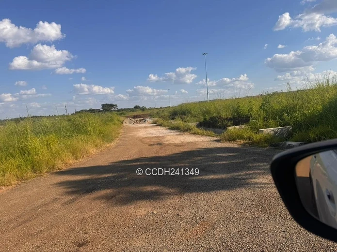 Glaudina Stands For Sale (Sole Mandate)