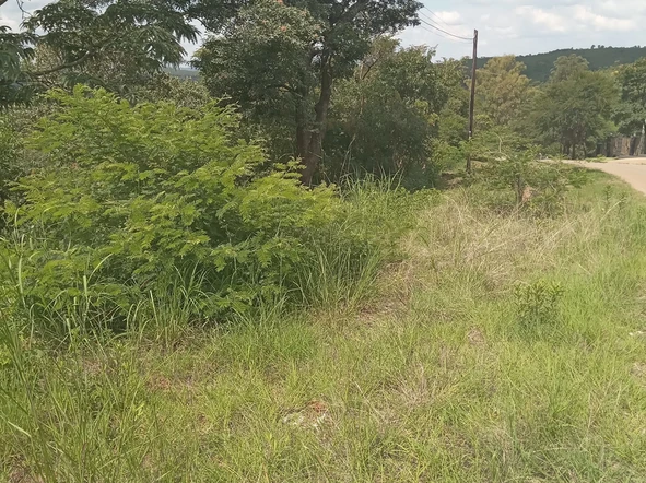 Stands & Residential Land