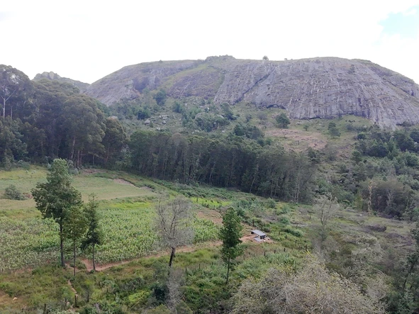 Farm & Agricultural Land