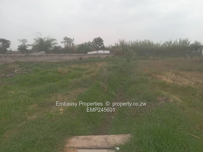 Grab This Oppotunity