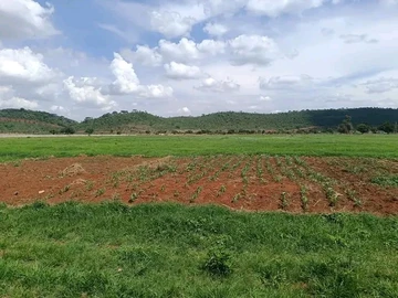 Farm & Agricultural Land