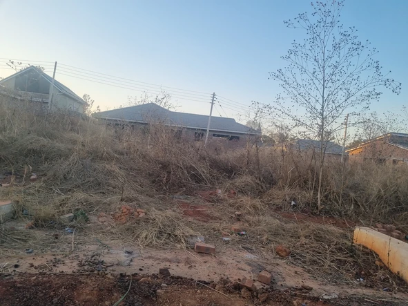 Stands & Residential Land
