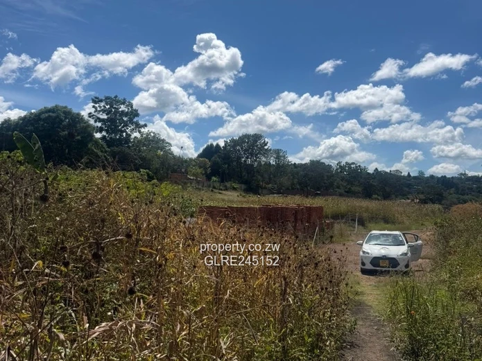 Prime 3,700m² Greystone Park Stand — Subdivision Ready