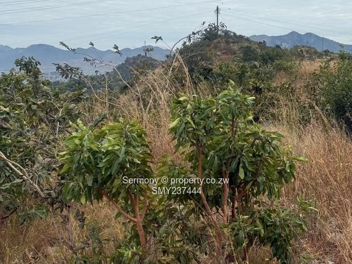 Commercial Property for Sale in Mahusekwa