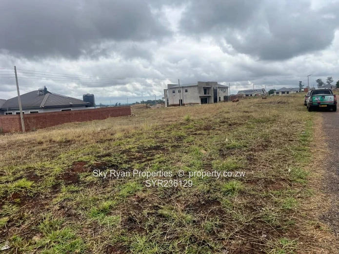 Pomona Stand For Sale