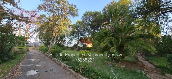 Glen Lorne 4-Bed 3-Bath: Modern Glass Wall & Garden