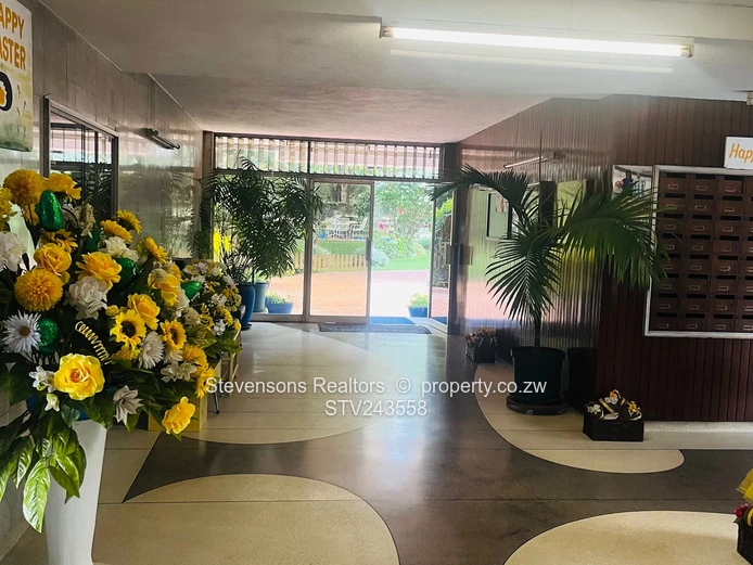 Cosy fully furnished apartment 