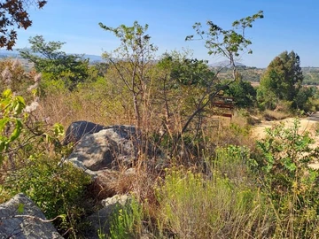 Nyanga Juliasdale 1ha plots for holiday homes. 20k , balance 8months