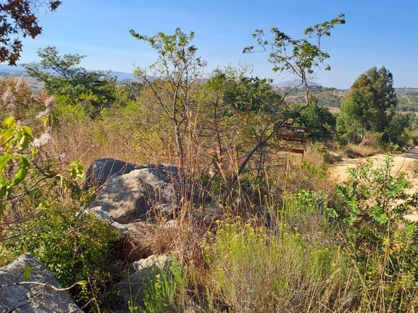Nyanga Juliasdale 2ha plots for holiday homes. 50k , balance 6months