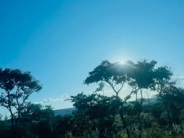 Farm & Agricultural Land