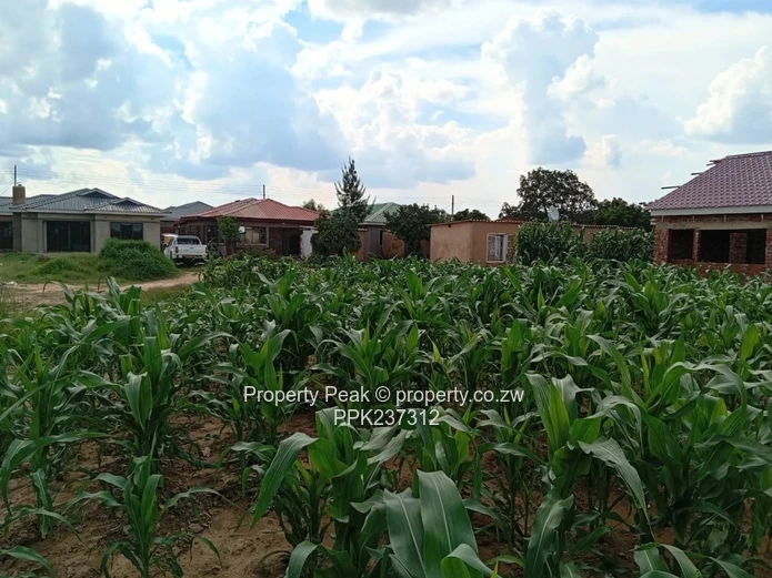 Budiriro 4 Corner Stand For Sale