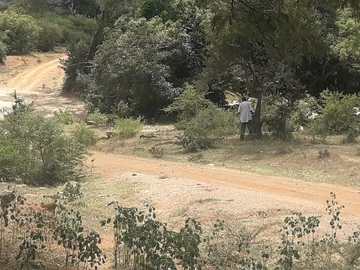 Farm & Agricultural Land