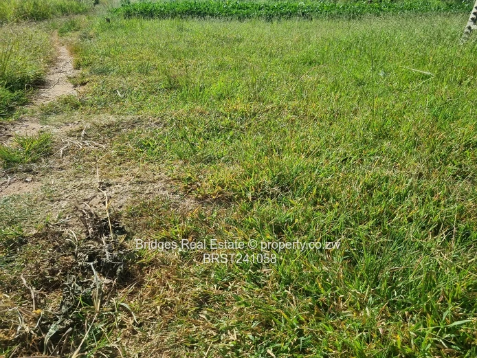 Agro Residential Parcel (Sole Mandate)