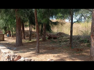Land