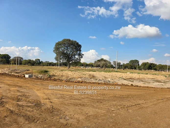 Hatfield Stands For Sale