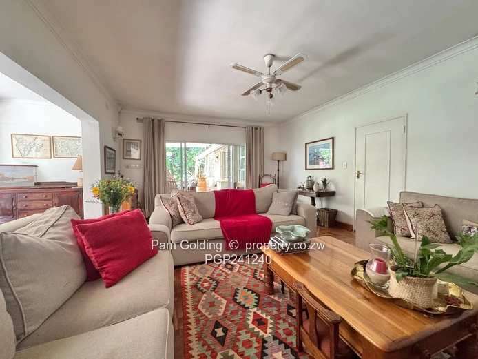 Alexandra Park - Seeing is believing 