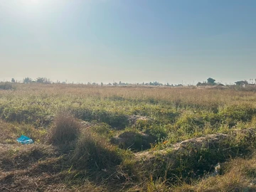 Land