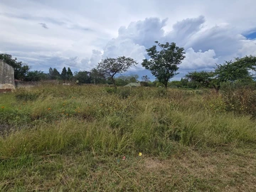 Commercial & Industrial Land