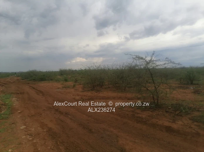 2-hectare (5-acre) Plot Up For Grabs!