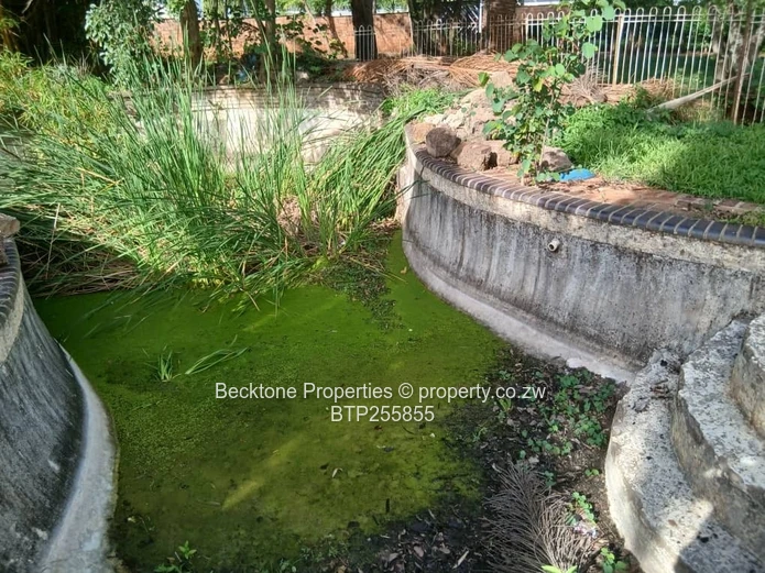 Kumalo 4-Bed House on 2500m² with Pool & Borehole