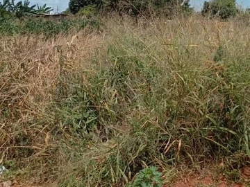 Prime 300m² stand for sale going for $15 000  in Aspindale Park, Harare West!