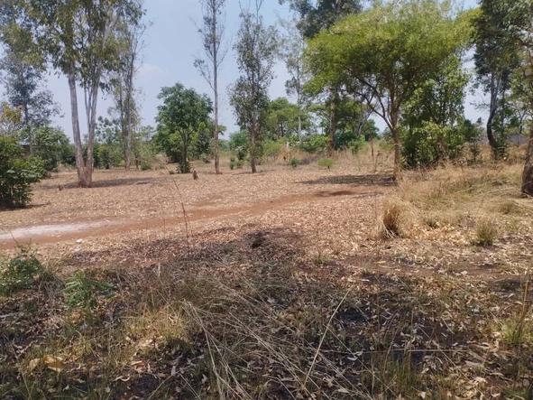Commercial & Industrial Land