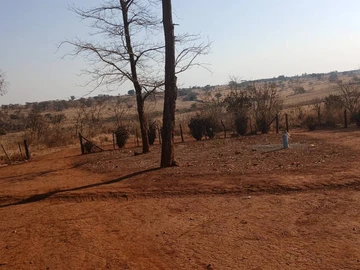 Farm & Agricultural Land