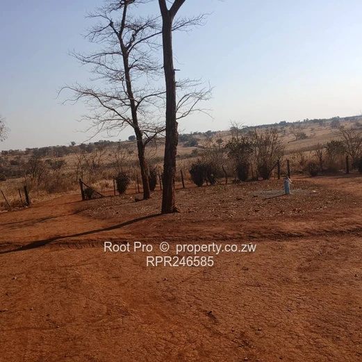 Nyabira 50-Hectare Plot For Sale 