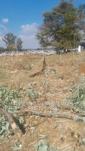 Ready To Built Next To Nyeredzi Tall Trees