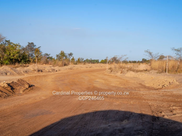 Commercial Stands For Sale In Newport